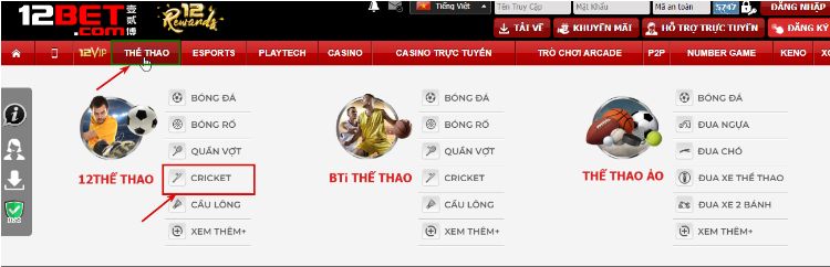 Cách chơi Cricket tại 12bet